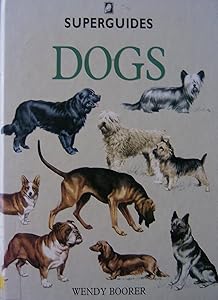 Dogs by Wendy Boorer
