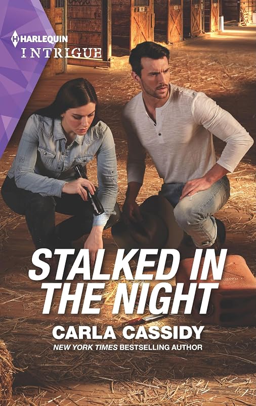 Stalked in the Night (Harlequin Intrigue) by Carla Cassidy