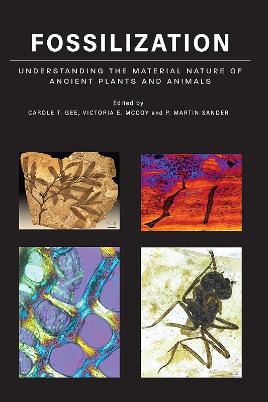 Fossilization: Understanding the Material Nature of Ancient Plants and Animals by Carole T. Gee