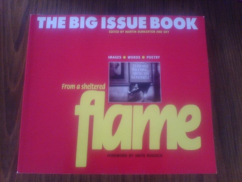 From a sheltered flame: The big issue book by unknown author