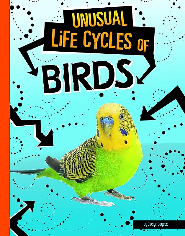Unusual Life Cycles of Birds by Jaclyn Jaycox