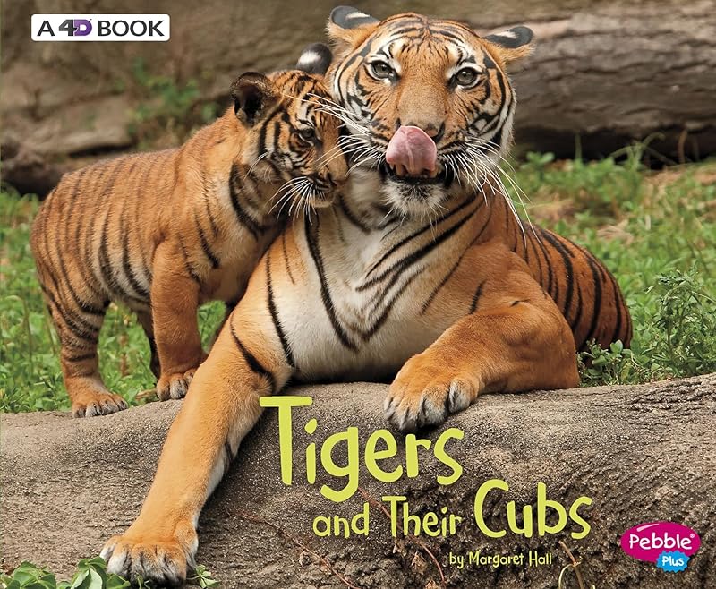 Tigers and Their Cubs: A 4D Book (Animal Offspring) (Pebble Plus: Animal Offspring) by Margaret Hall