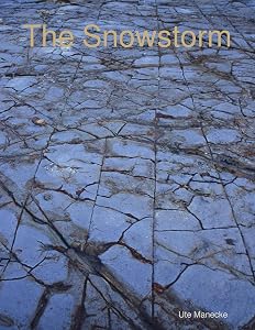 The Snowstorm by Ute Manecke
