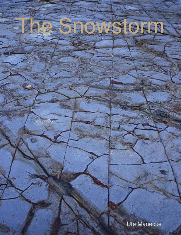 The Snowstorm by Ute Manecke