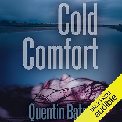 Cold Comfort: Gunnhildur Mystery, Book 2