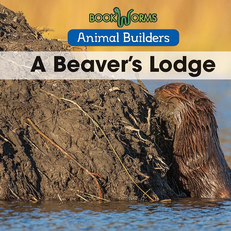 A Beaver's Lodge (Animal Builders) by Erika De Nijs