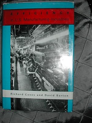 Efficiency in U.S. Manufacturing Industries