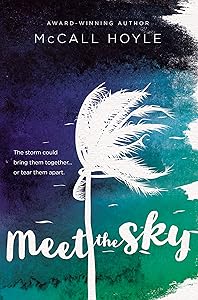 Meet the Sky (Blink) by McCall Hoyle