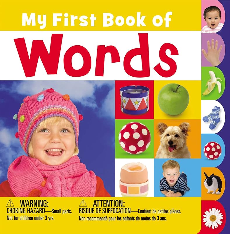 My First Book of Words by Joanna Bicknell