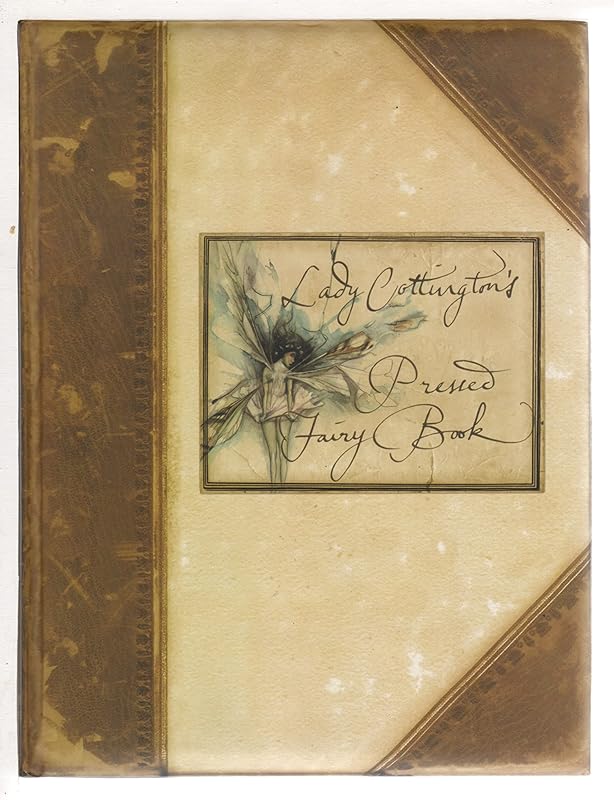 Lady Cottington's Pressed Fairy Book by Terry Jones