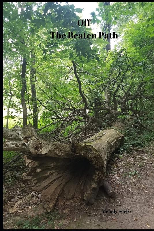 Off the Beaten Path: Wilderness Adventure Log Book by Melody Seelye