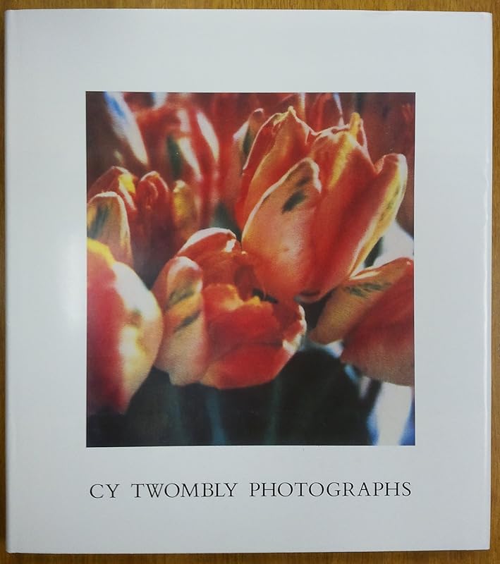 Cy Twombly Photographs by William Katz
