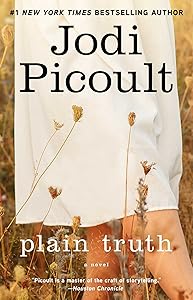 Plain Truth: A Novel