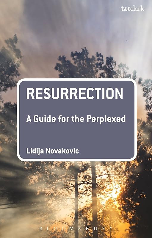 Resurrection: A Guide for the Perplexed (Guides for the Perplexed) by Lidija Novakovic