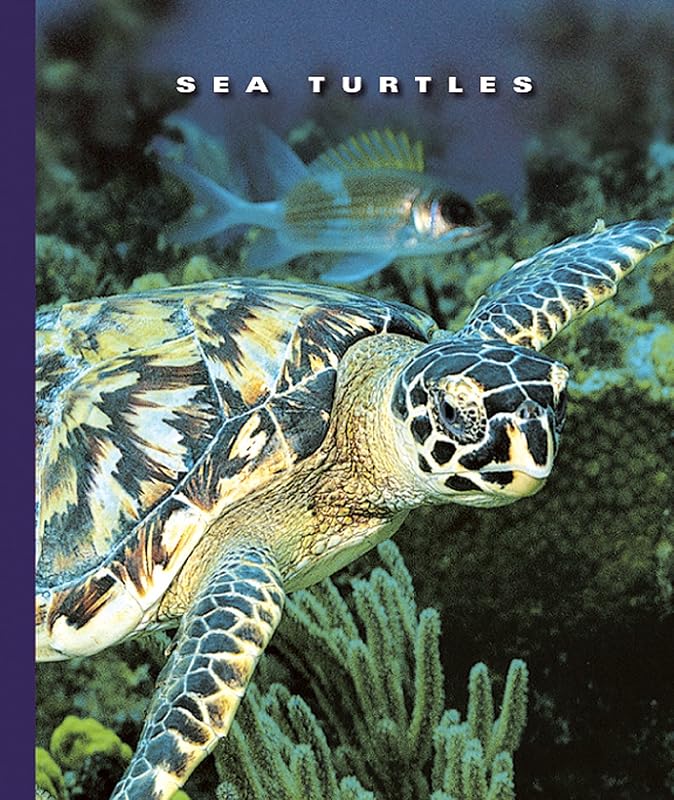 Sea Turtles (The World of Reptiles Book 1256) by Sophie Lockwood