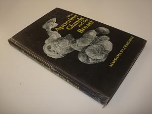 The Apocrine Glands and the Breast (Wiley Medical Publication) by Marshall Craigmyle