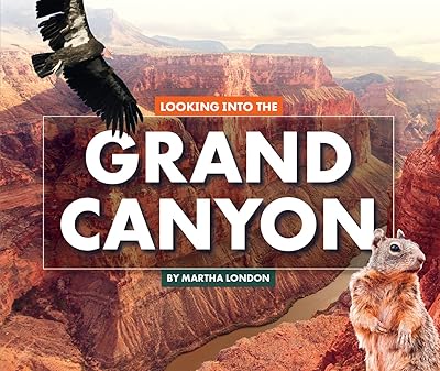 Looking Into the Grand Canyon (Looking at Layers)