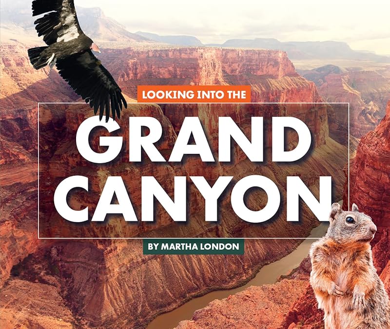 Looking Into the Grand Canyon (Looking at Layers) by Martha London