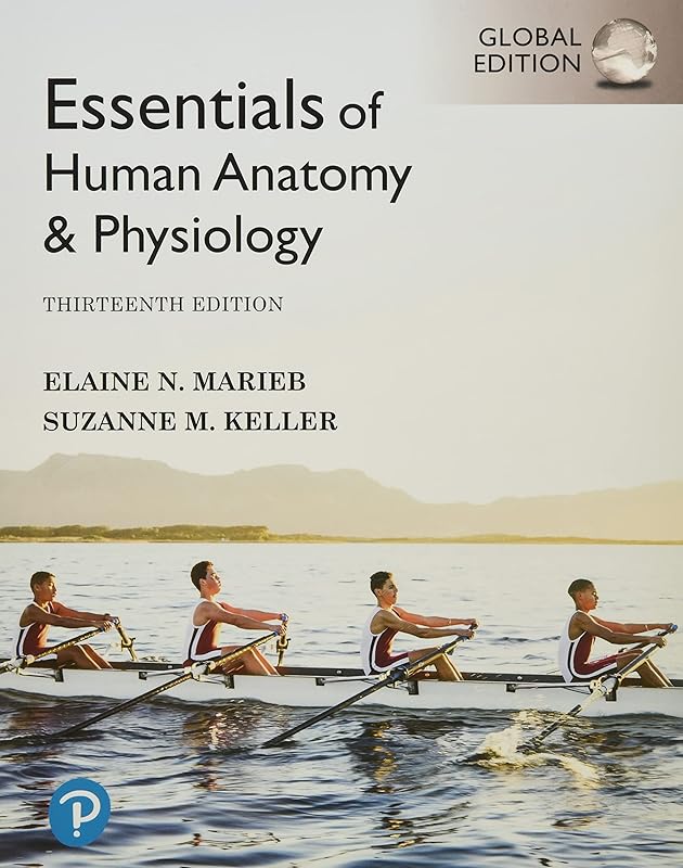 Essentials of Human Anatomy & Physiology [Global Edition] by Elaine Marieb