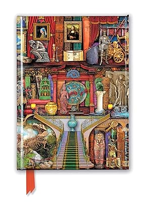 Aimee Stewart: Museum Bookshelves (Foiled Journal) (Flame Tree Notebooks)