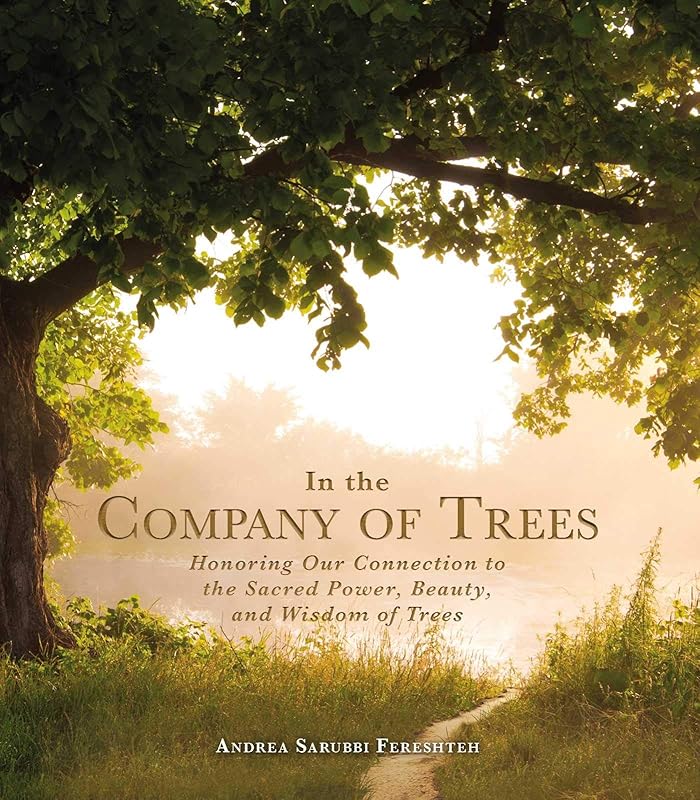 In the Company of Trees: Honoring Our Connection to the Sacred Power, Beauty, and Wisdom of Trees by Andrea Sarubbi Fereshteh