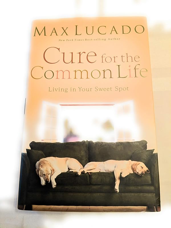 Cure for the Common Life: Living in Your Sweet Spot by Max Lucado