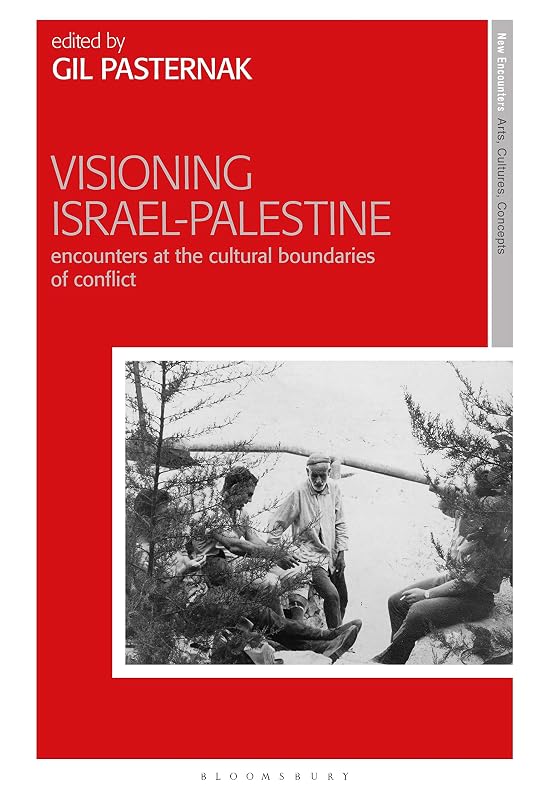 Visioning Israel-Palestine: Encounters at the Cultural Boundaries of Conflict (New Encounters: Arts, Cultures, Concepts) by Gil Pasternak