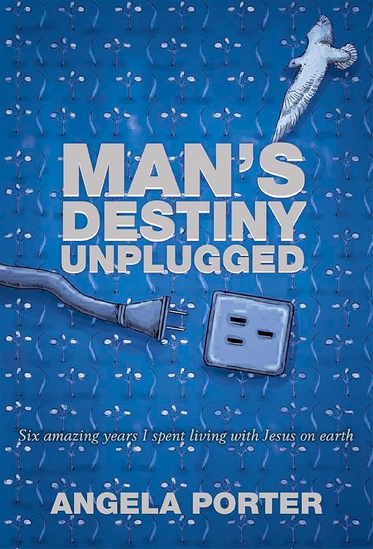 Man's Destiny Unplugged by Angela Porter