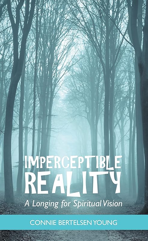 Imperceptible Reality: A Longing for Spiritual Vision by Connie Bertelsen Young