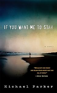 If You Want Me to Stay: A Novel