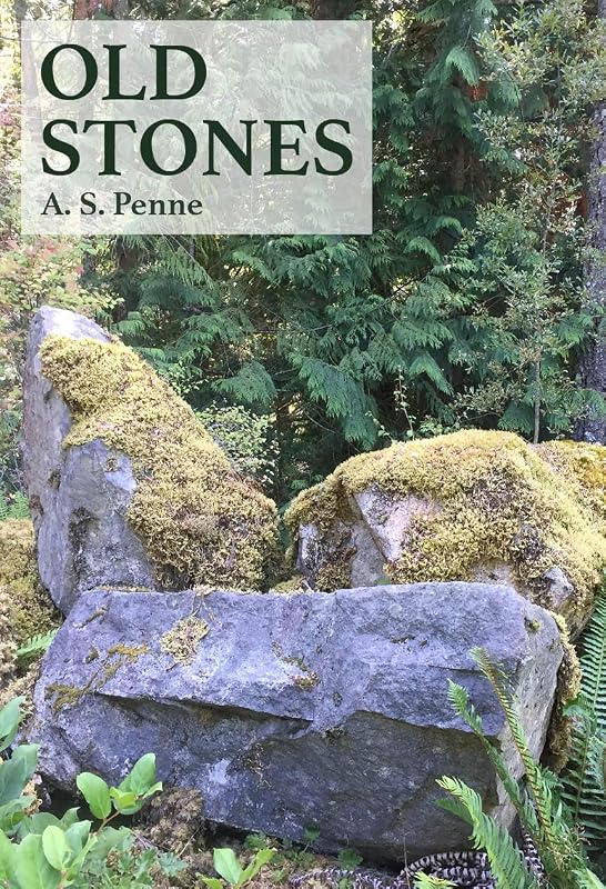 Old Stones by A.S. Penne