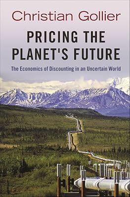 Pricing the Planet's Future: The Economics of Discounting in an Uncertain World