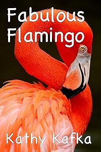 Fabulous Flamingo by Kathy Kafka