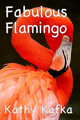 Fabulous Flamingo