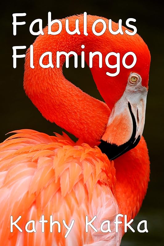 Fabulous Flamingo by Kathy Kafka