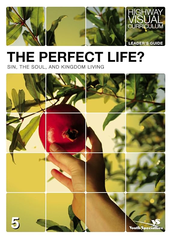 The Perfect Life? Leader's Guide: Sin, the Soul, and Kingdom Living (Highway Visual Curriculum Book 5) by Highway Video Inc.