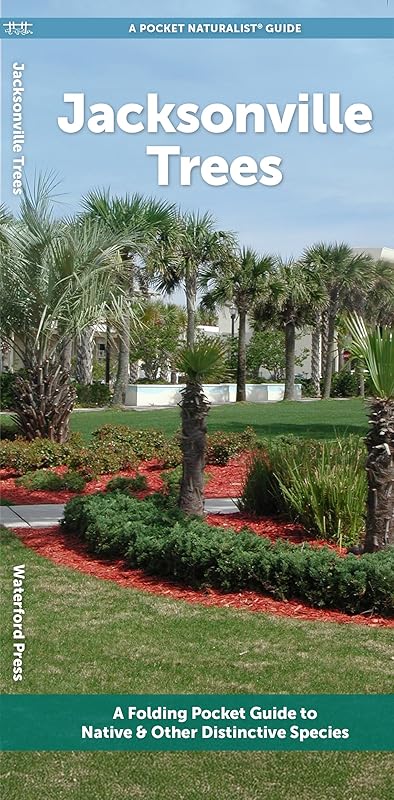 Jacksonville Trees: A Folding Pocket Guide to Familiar Trees (Nature Observation North America) by Waterford Press Waterford Press