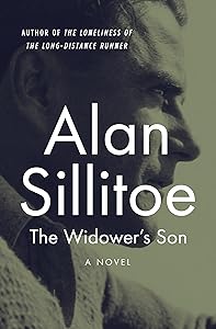 The Widower's Son: A Novel