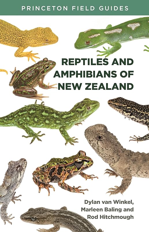 Reptiles and Amphibians of New Zealand (Princeton Field Guides) by Dylan Van Winkel