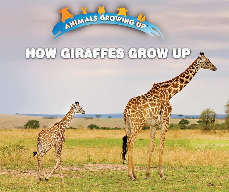 How Giraffes Grow Up (Animals Growing Up) by Linda Bozzo