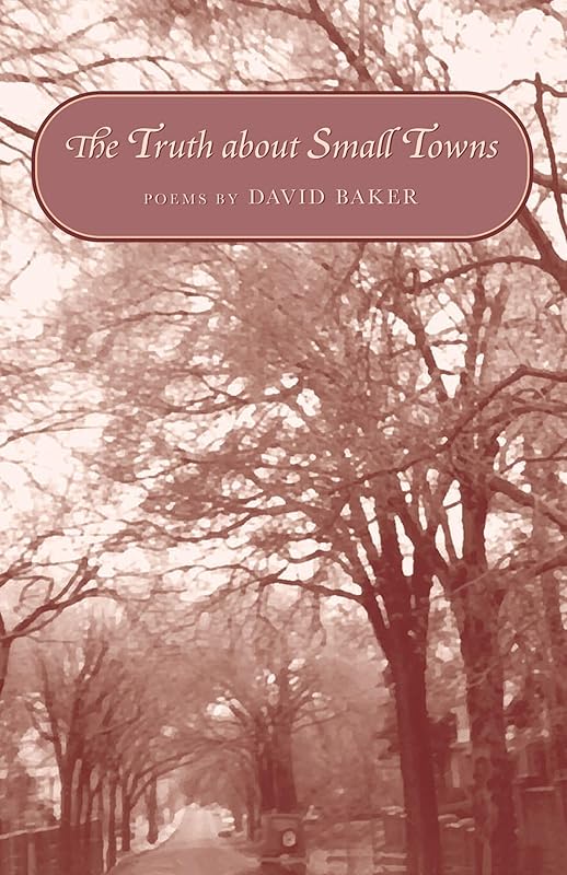 Truth about Small Towns: Poems by David Baker