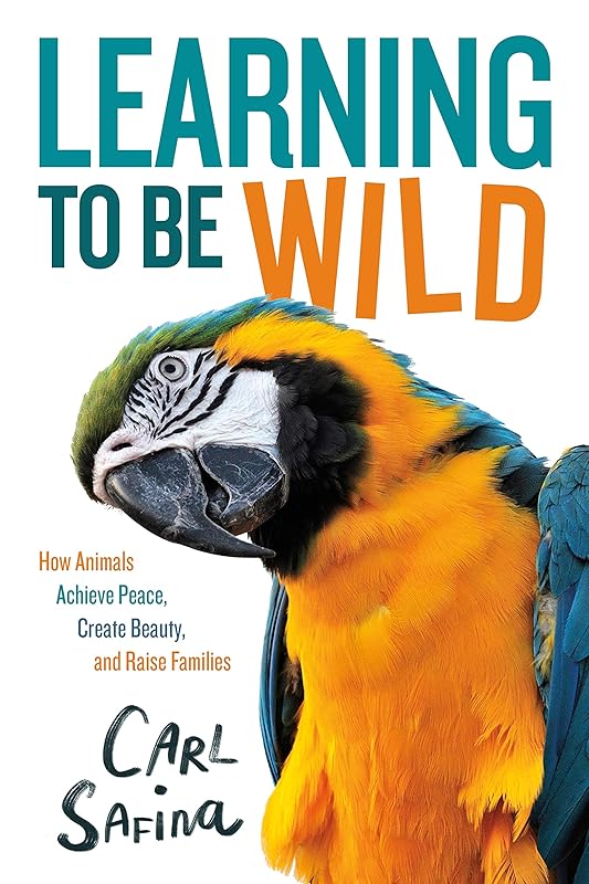 Learning to Be Wild (A Young Reader's Adaptation): How Animals Achieve Peace, Create Beauty, and Raise Families by Carl Safina