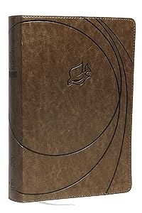 NLT, New Spirit-Filled Life Bible, Leathersoft, Gray: Kingdom Equipping Through the Power of the Word (Signature)