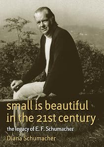 Small Is Beautiful in the 21st Century: The legacy of E.F. Schumacher (17) (Schumacher Briefings) by Diana Schumacher
