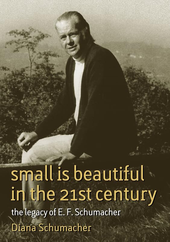 Small Is Beautiful in the 21st Century: The legacy of E.F. Schumacher (17) (Schumacher Briefings) by Diana Schumacher