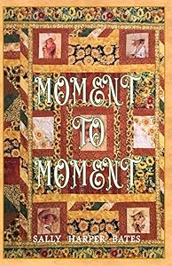 Moment to Moment by Sally Harper Bates