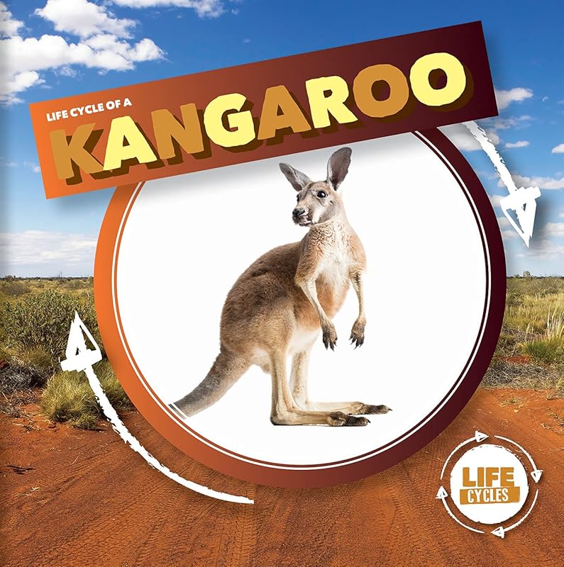 Life Cycle of a Kangaroo (Life Cycles) by Kirsty Holmes
