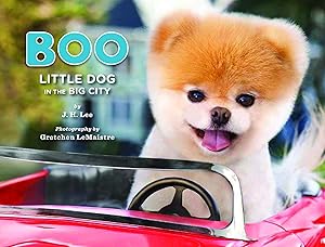 Boo: Little Dog in the Big City