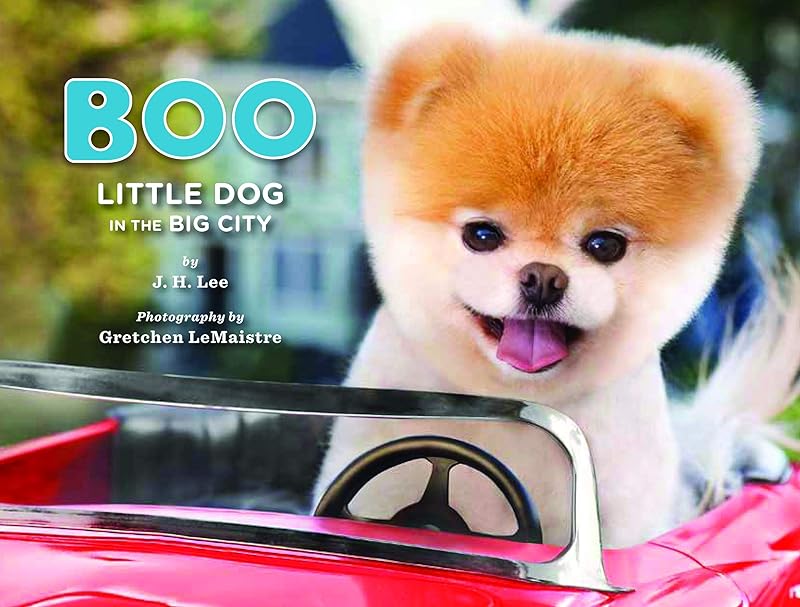 Boo: Little Dog in the Big City by J.H. Lee