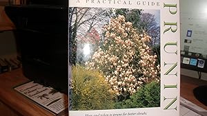 Pruning: A Practical Guide